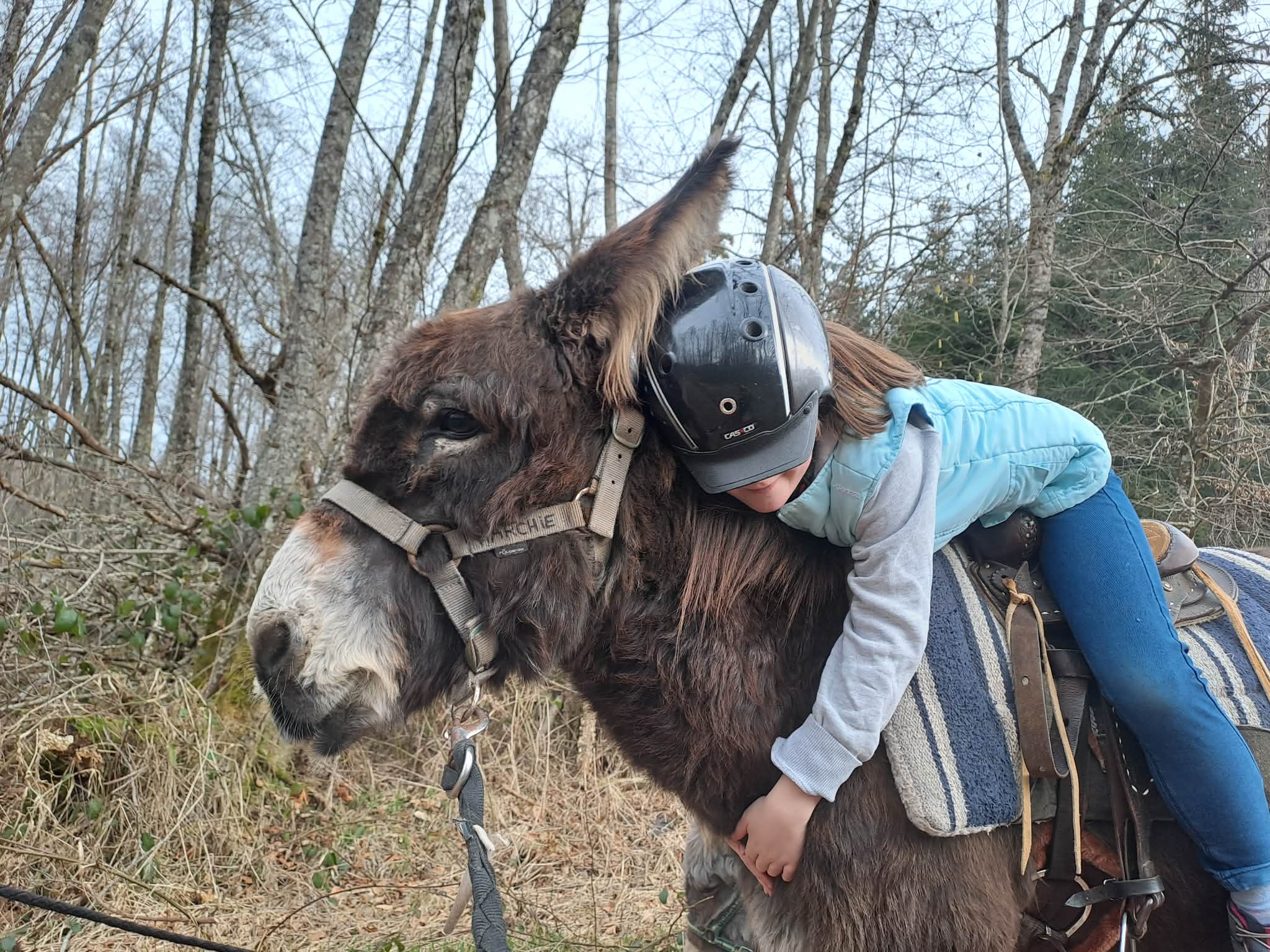 Ferme Equestre de la Forge