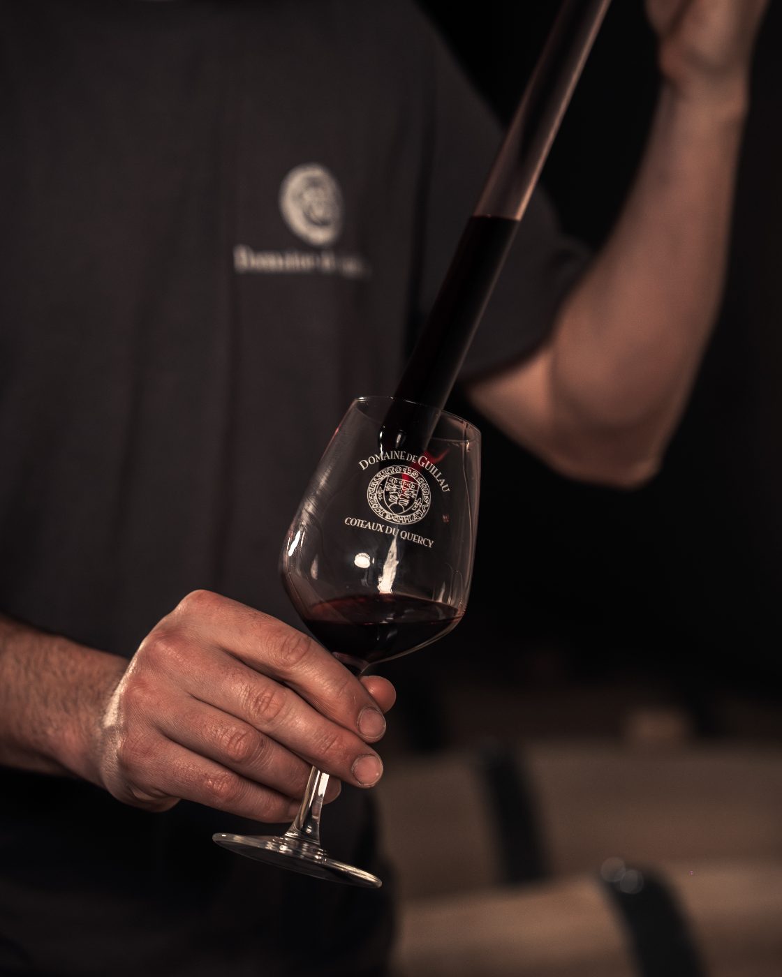 Dégustation des vins