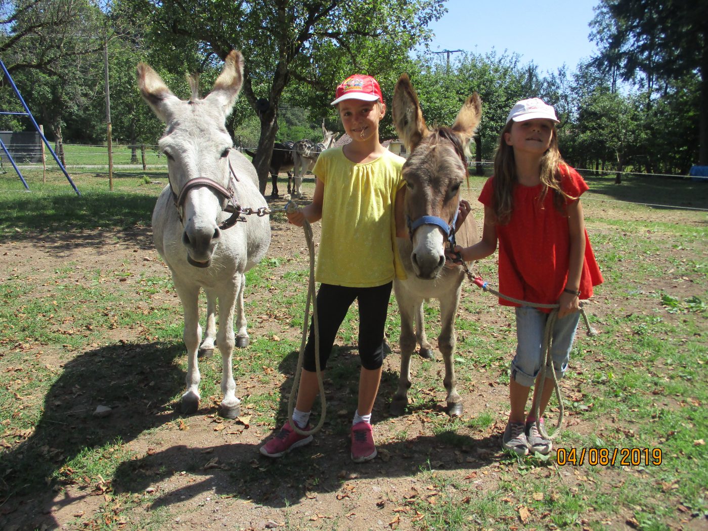 Visites pédagogique de la ferme