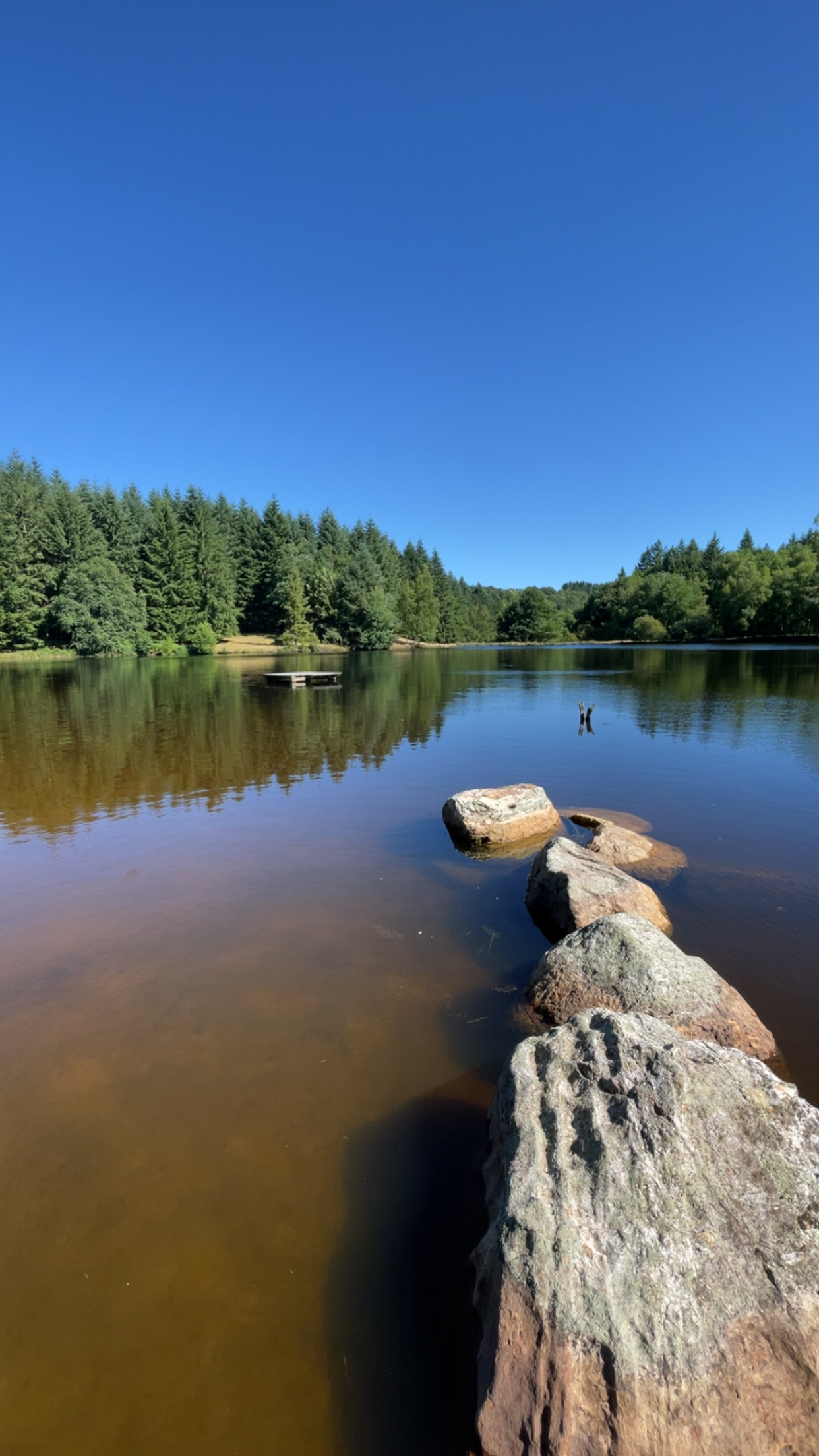 Camping la rivière 