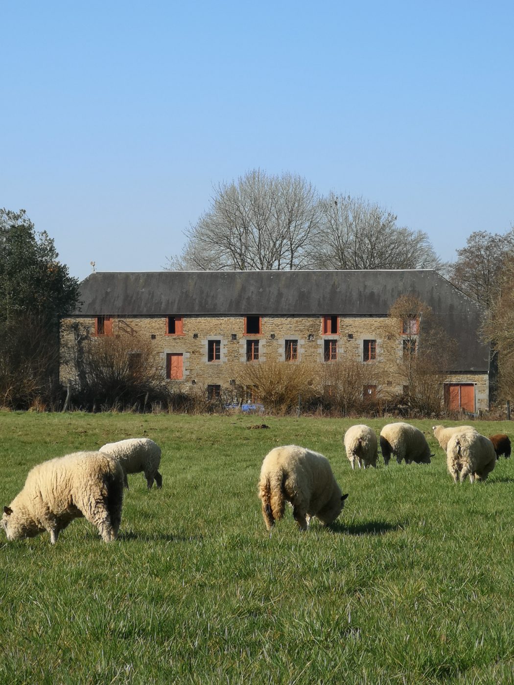 Le Petit Auney 