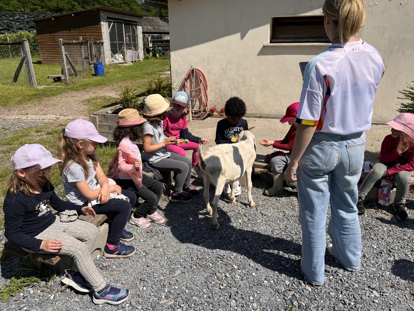 Visite de la ferme et animations pour les groupes