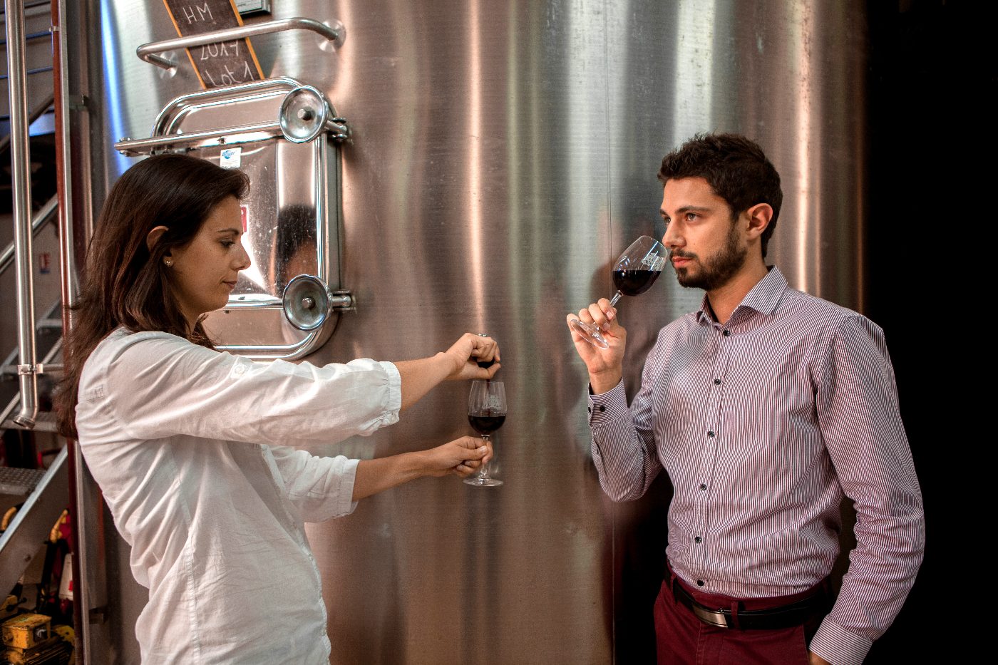 Dégustation en compagnie du vigneron