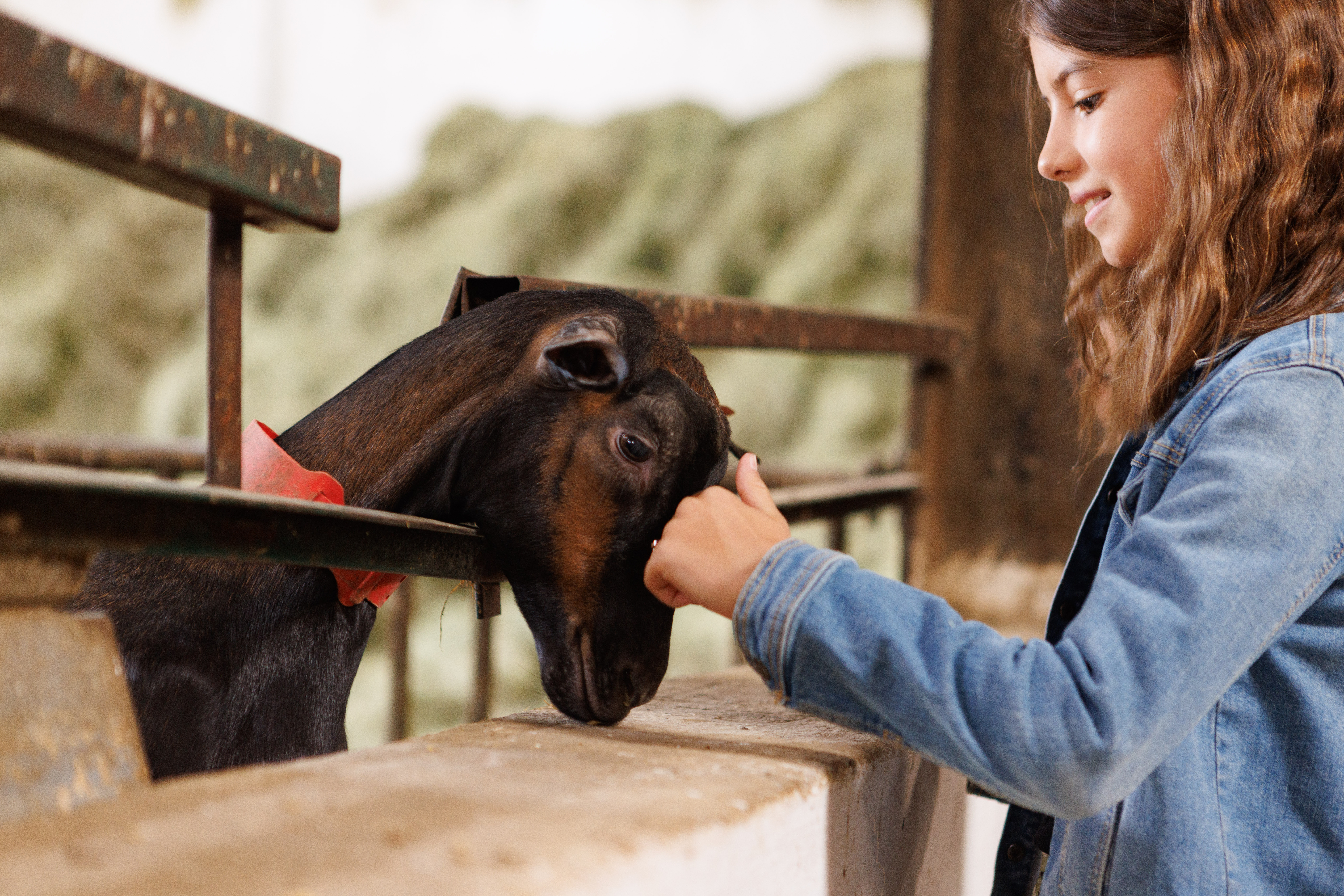 Ferme la Borie d'Imbert