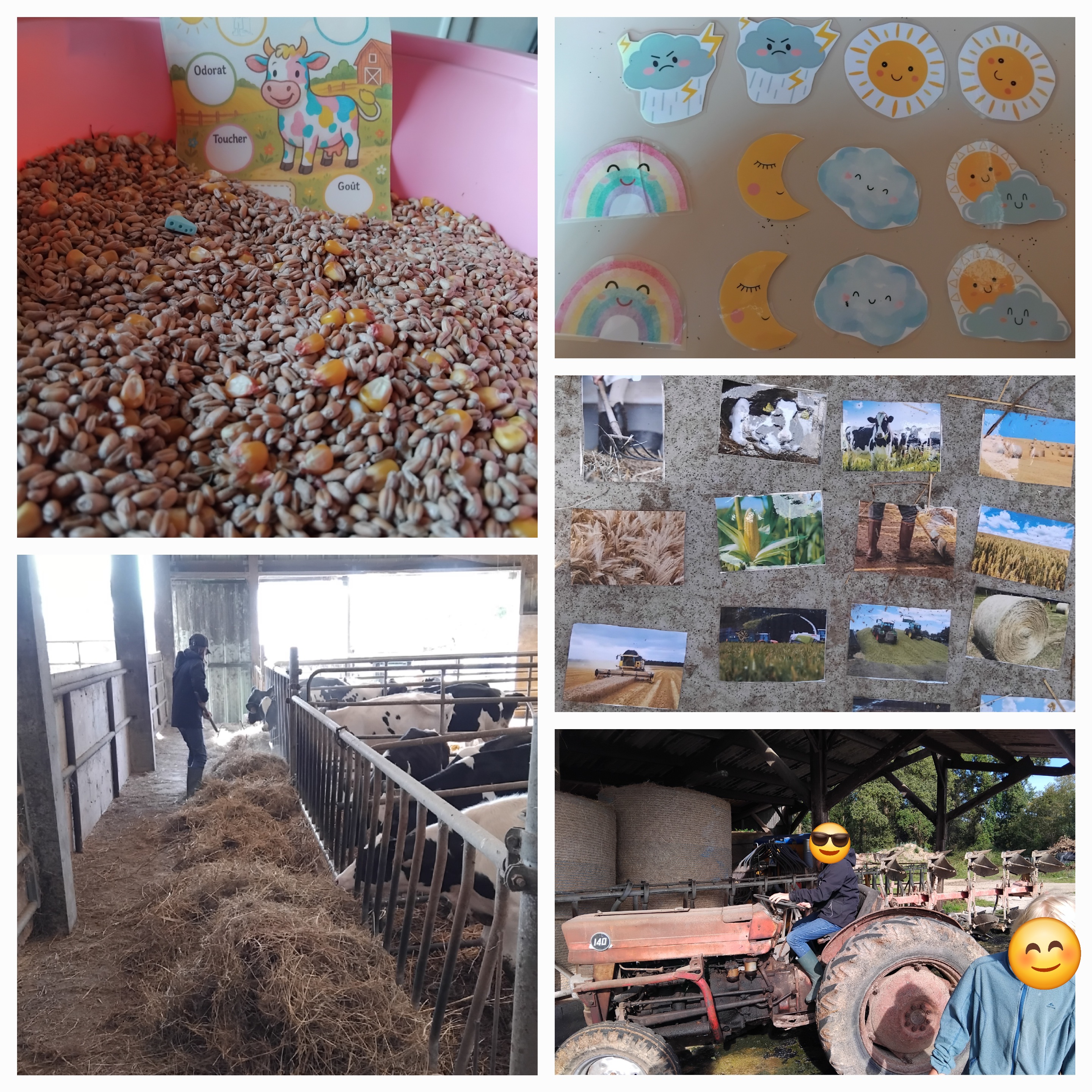 Photo de GAEC de la vallée de Saint Flour - Lait Gourmandises 