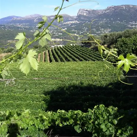 Domaine de la Source