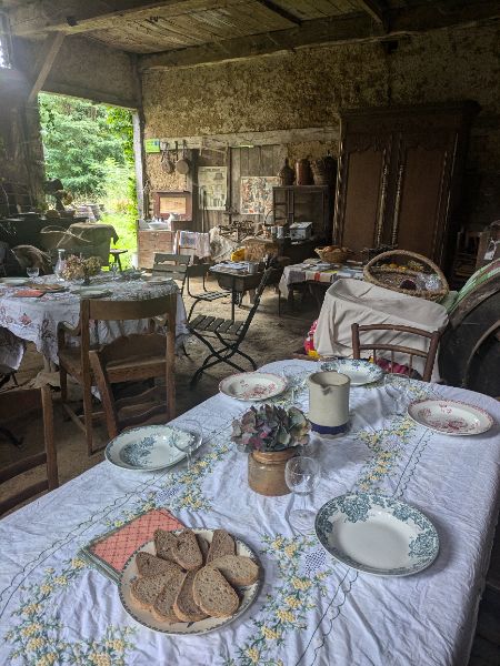 Cueillette des plantes sauvages et aromatiques avec dégustation