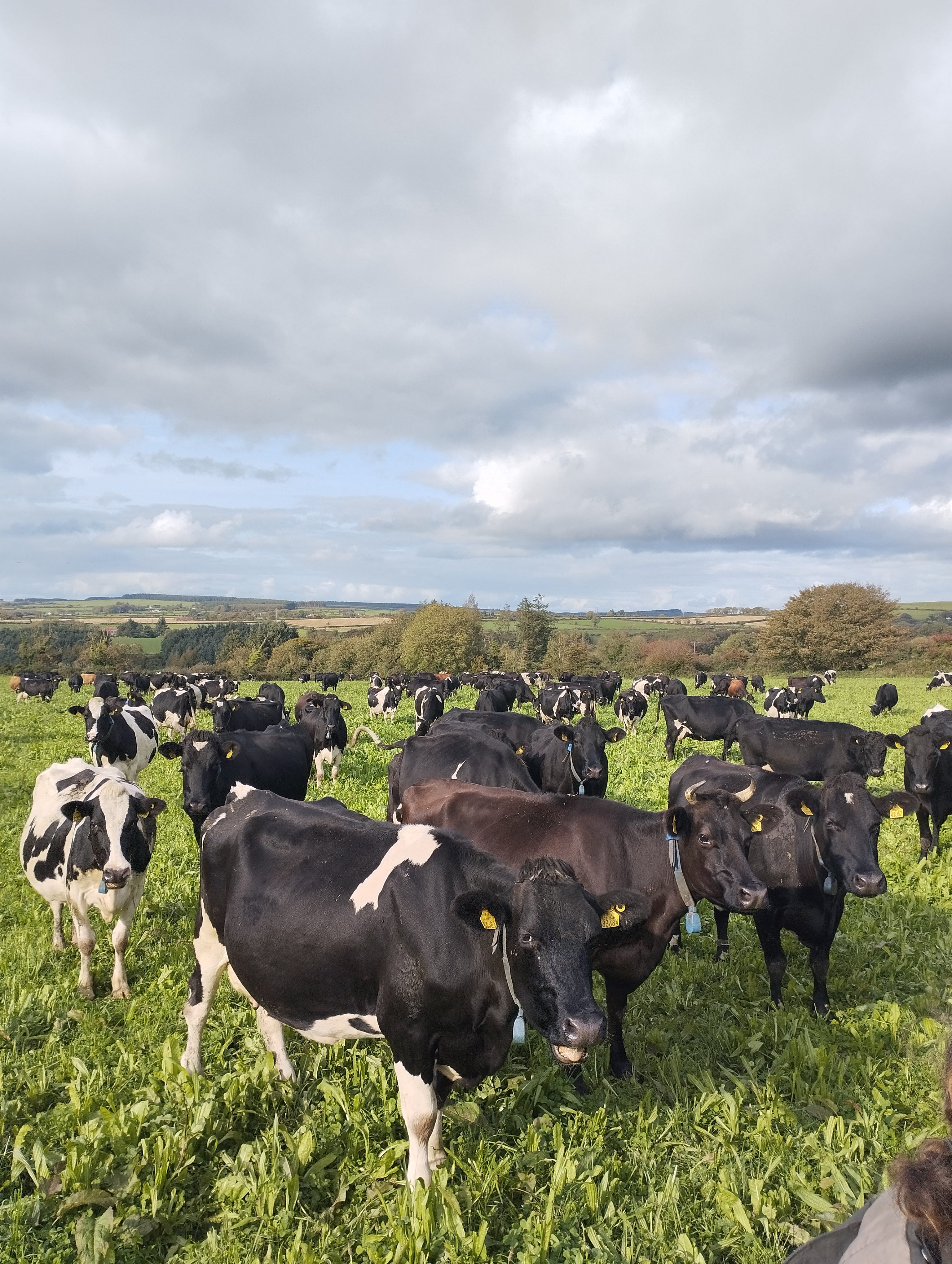 Photo de Tous à la ferme