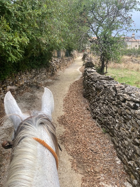 Photo de equitation
