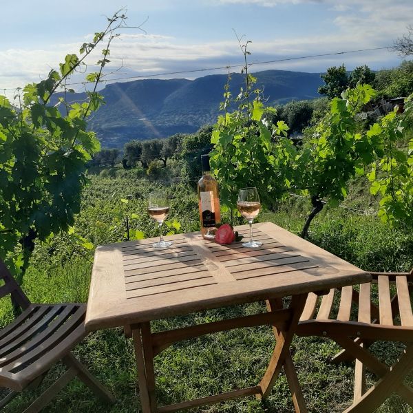 Photo de Visite et dégustation de cinq vins