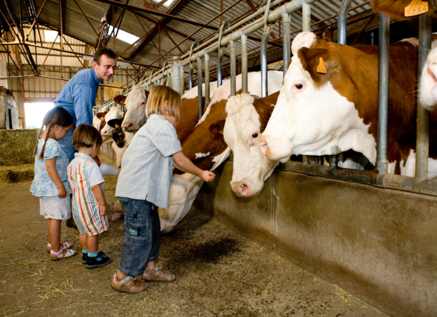 Ferme d'Anglards Le Pommier