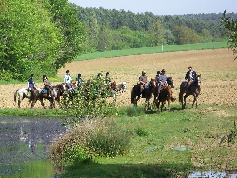 Photo de equitation