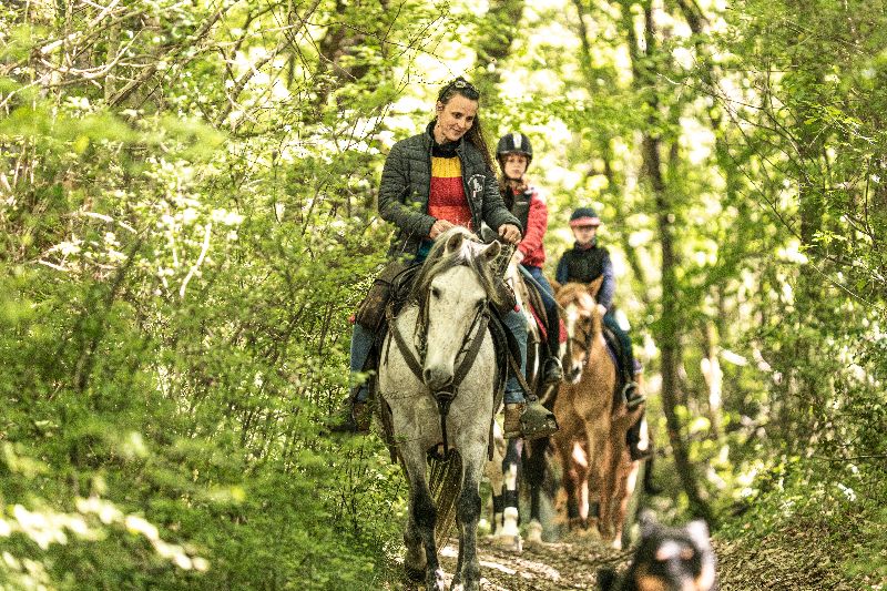Photo de equitation