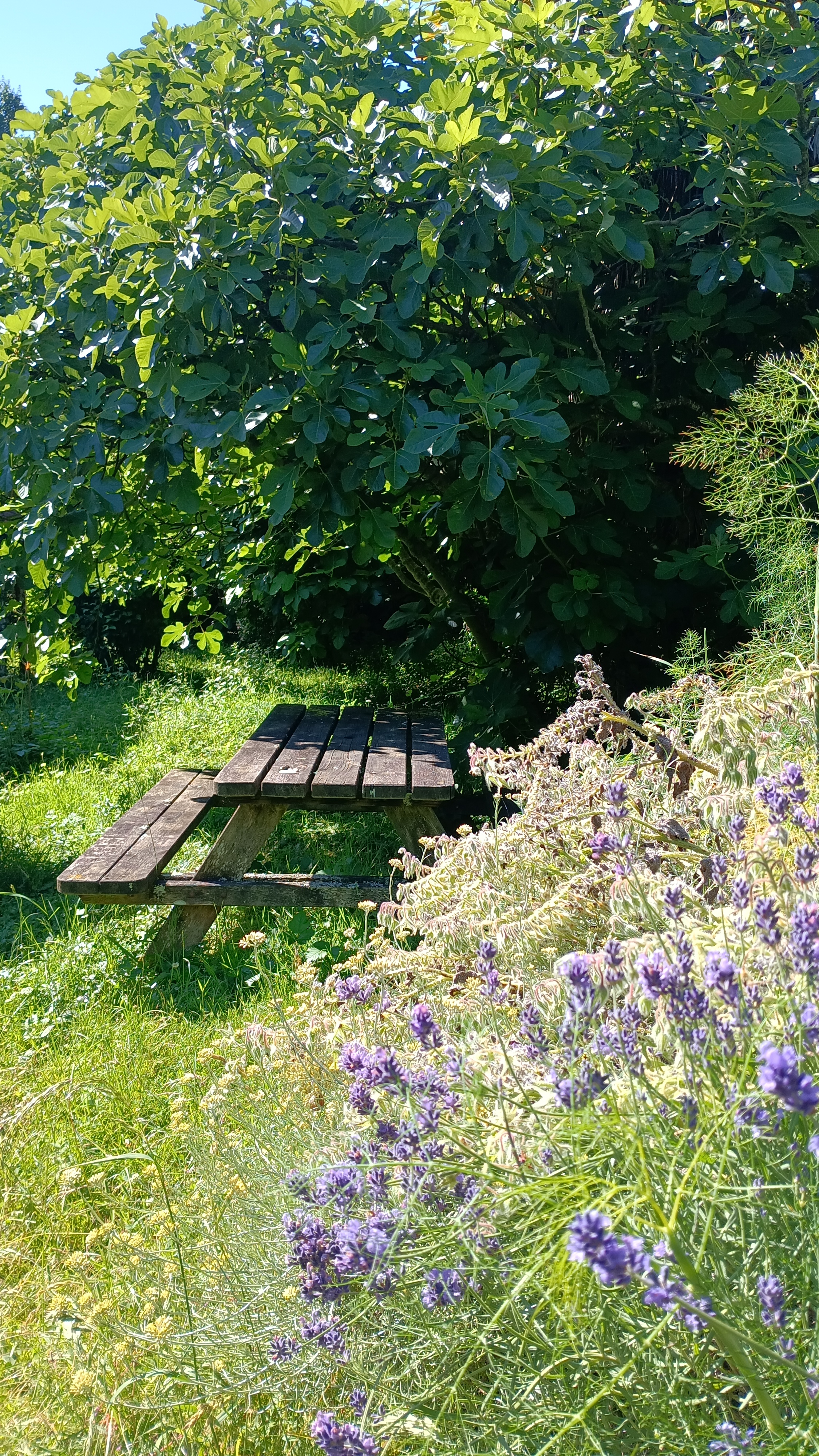 Photo de La Halte de d'Artagnan
