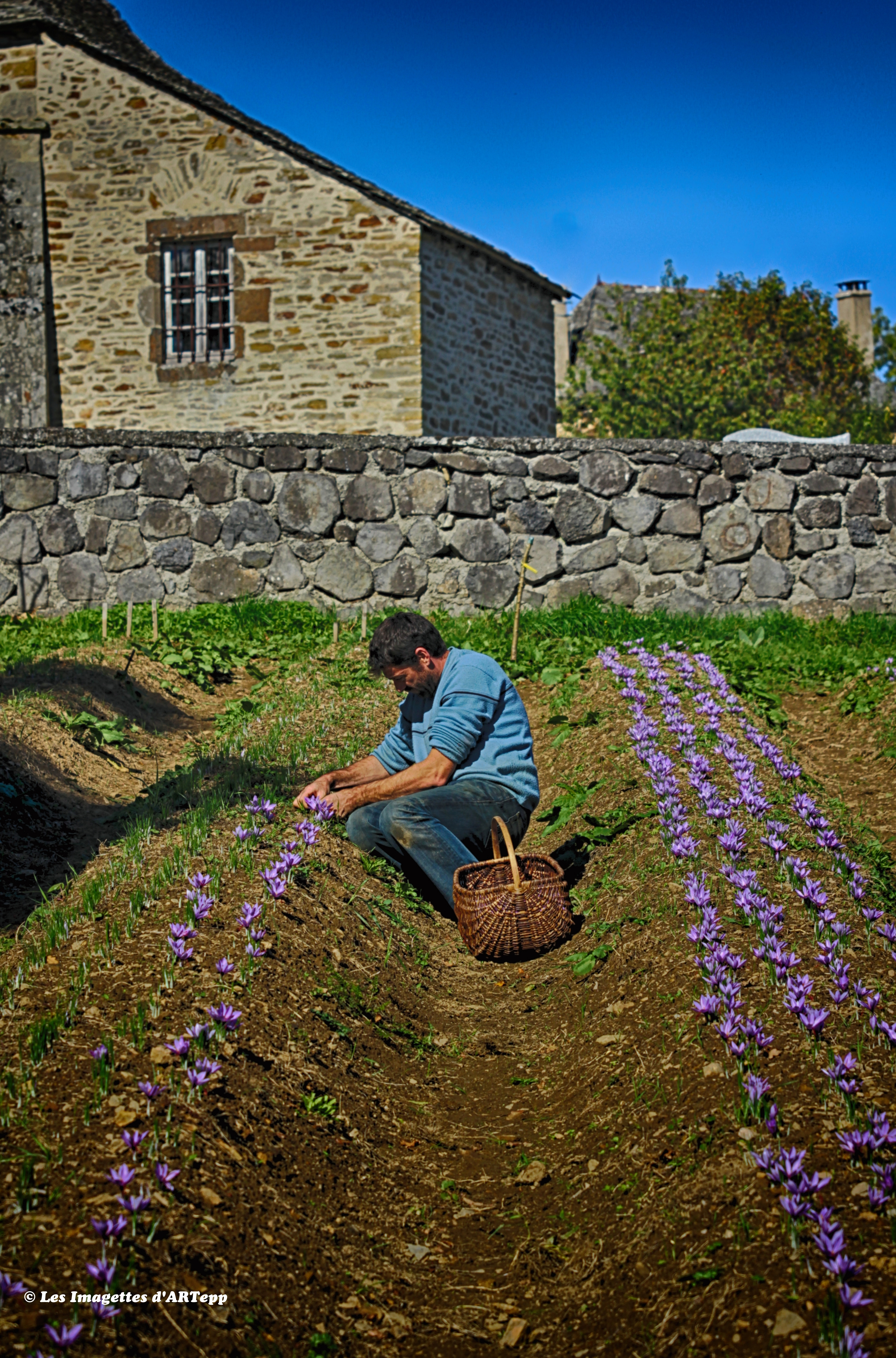 Photo de La Ferme de Murols