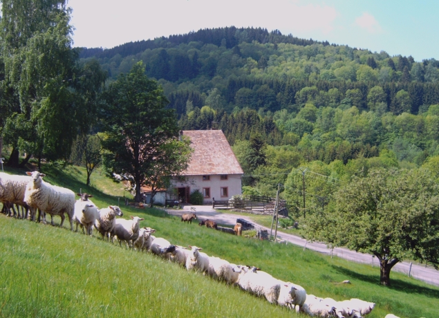 Photo de Ferme-auberge Les Grands Prés