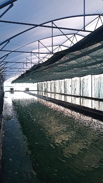 Photo de Visite à la ferme