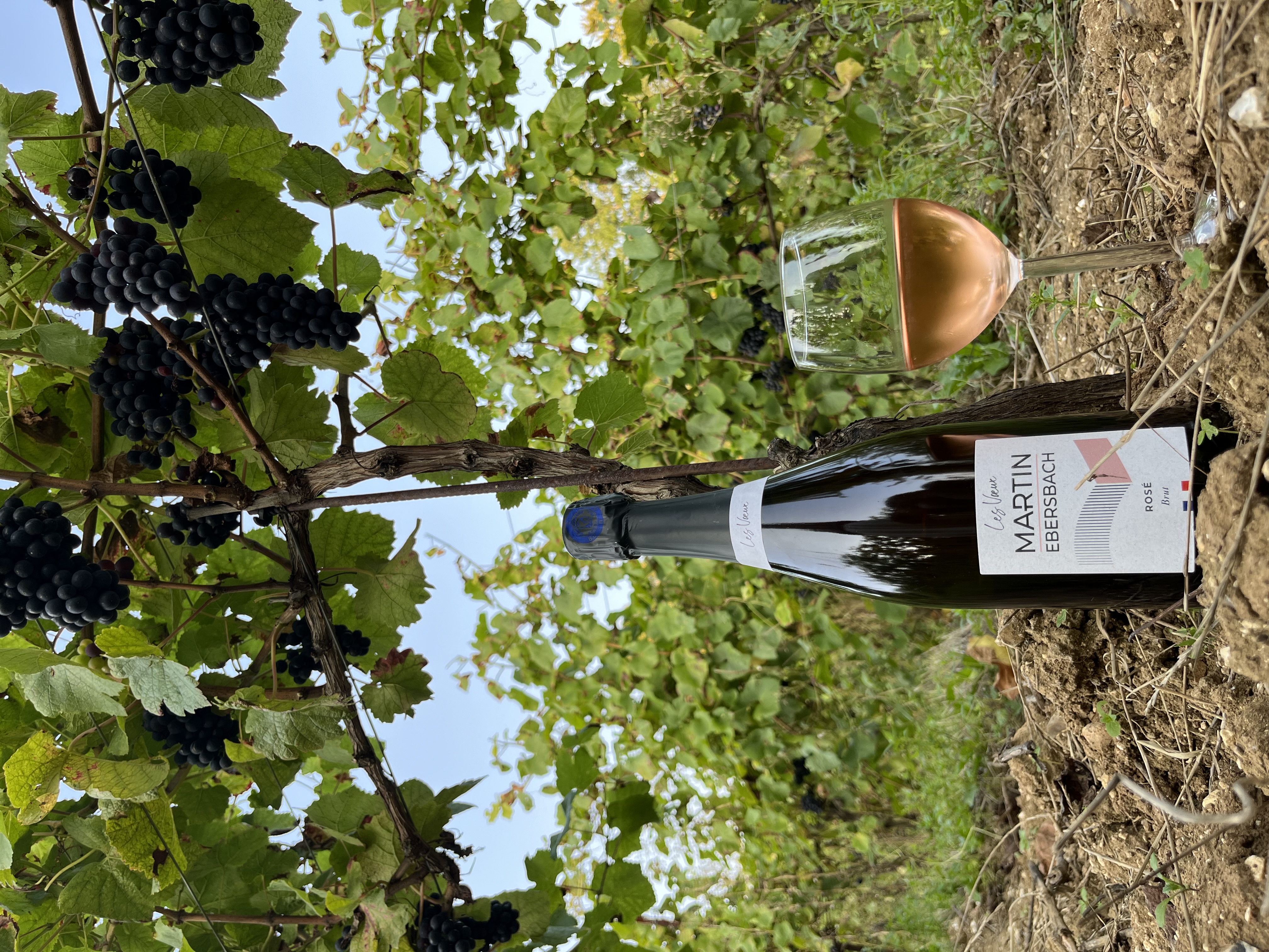 Photo de Vignoble des Vœux 
