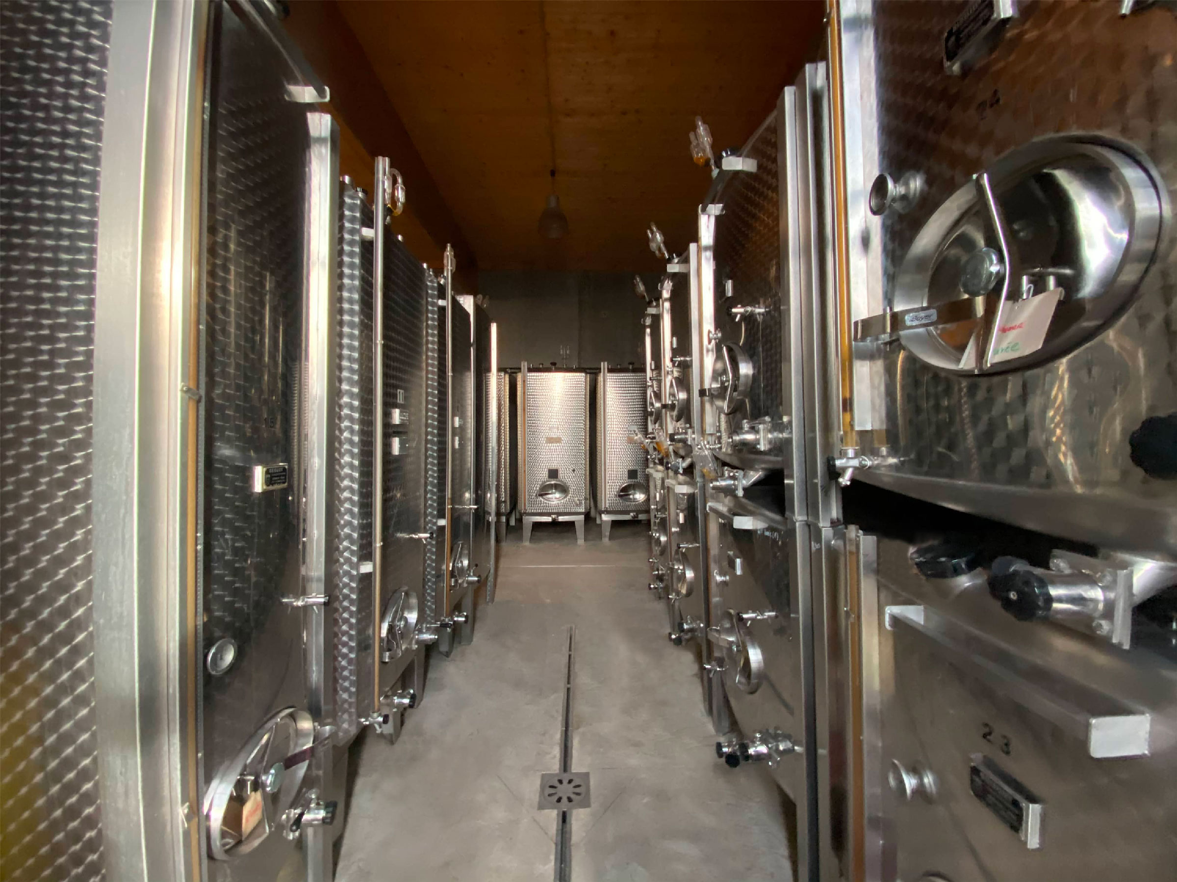 Photo de Visite de cave et dégustation de Vins d’Alsace, au féminin