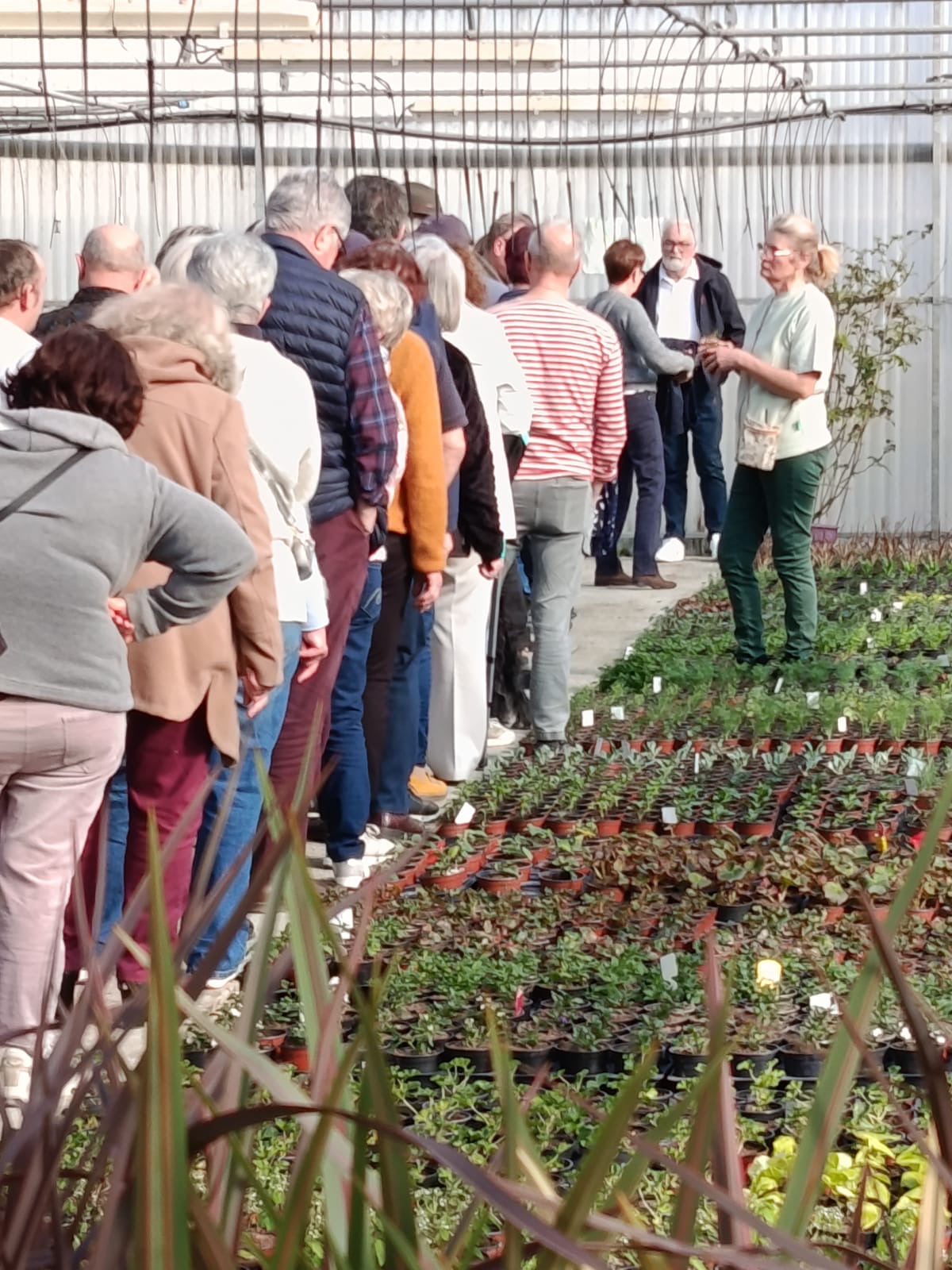 Photo de HORTIPASSION 