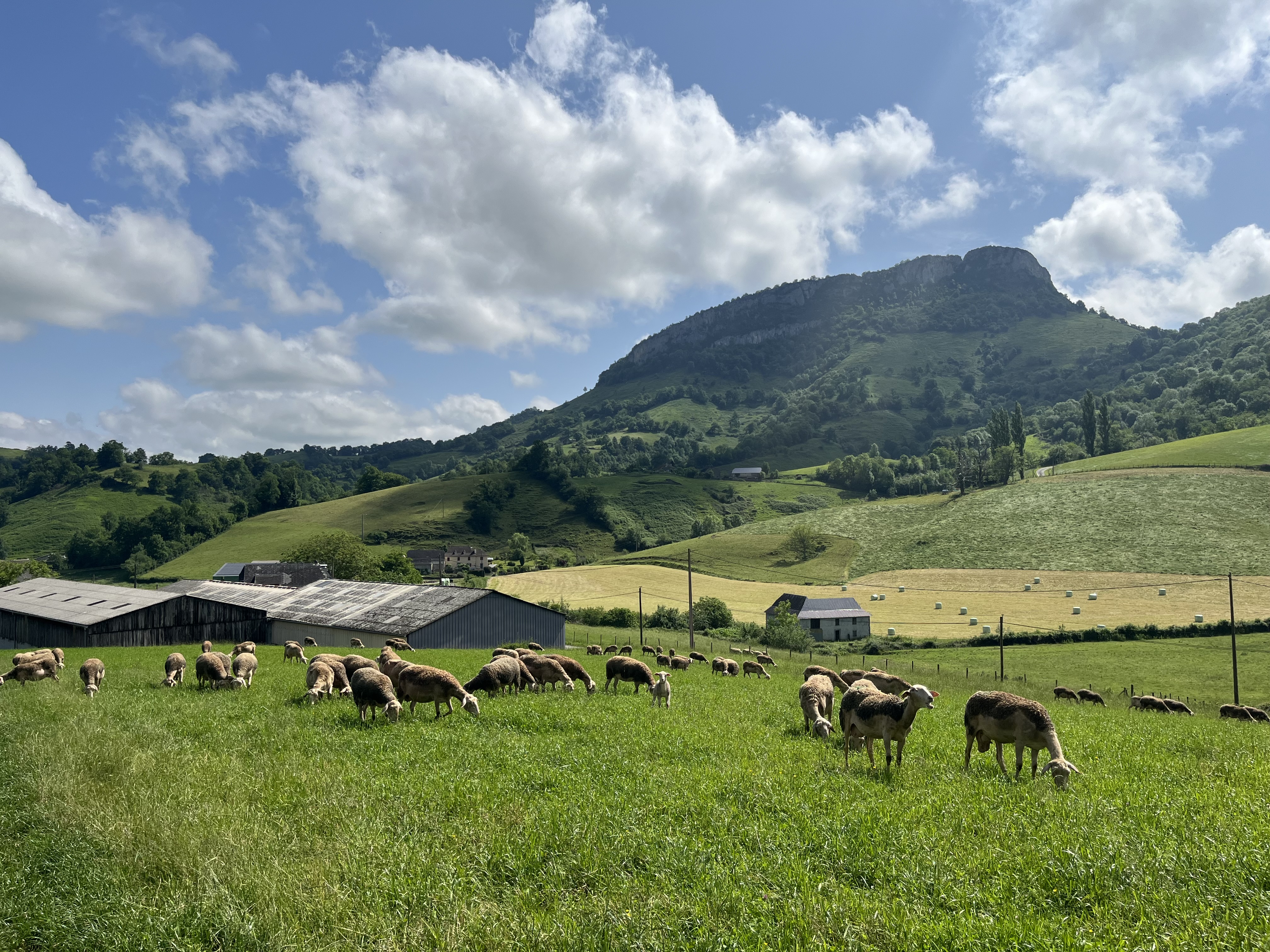 Ferme Salthun - Argui’Bêl