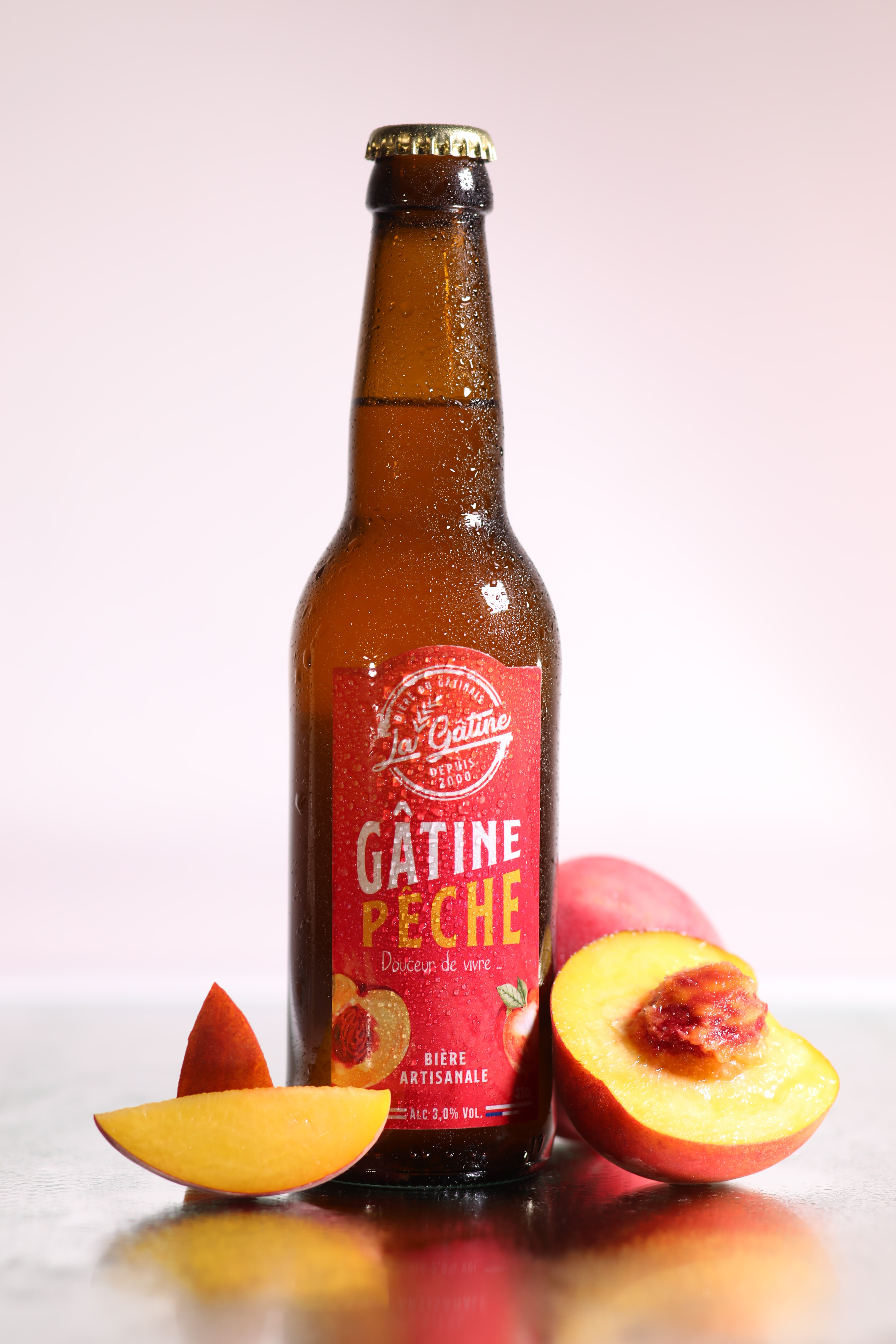 Photo de BIERE LA GATINE - FERME GITE LA GASTINE