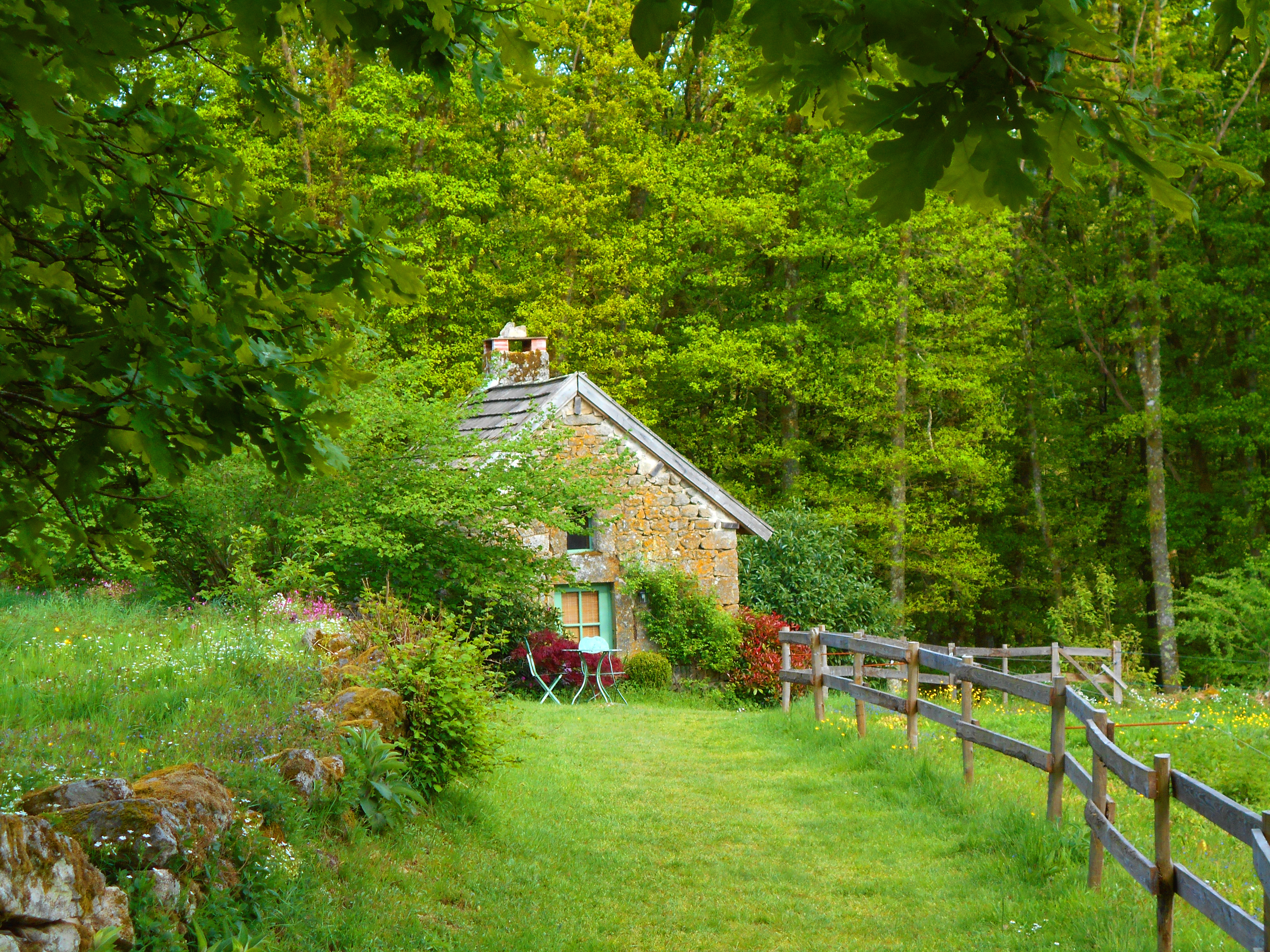 Photo de Les Ânes de Vassivière