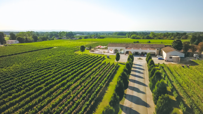 VIGNOBLES ROMAIN