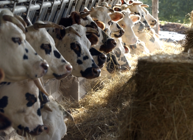 Photo de Ferme Pédagogique du Lieu Roussel