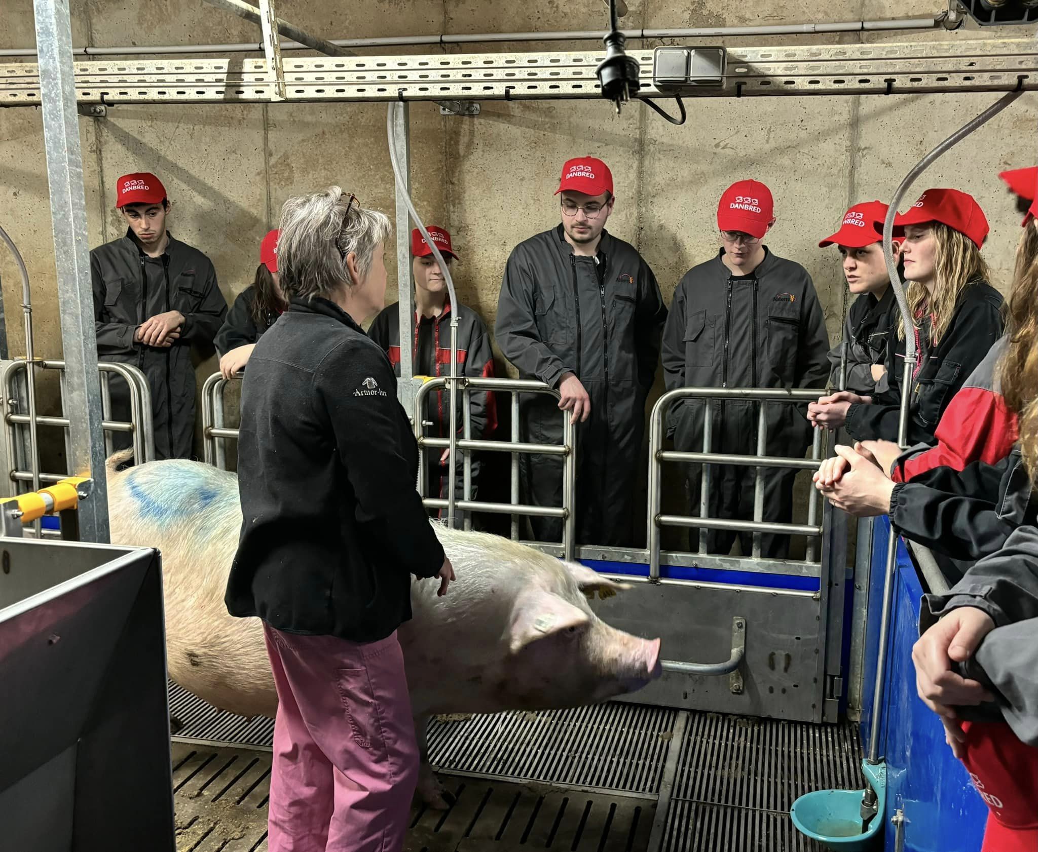 Photo de Ferme de Kermerrien