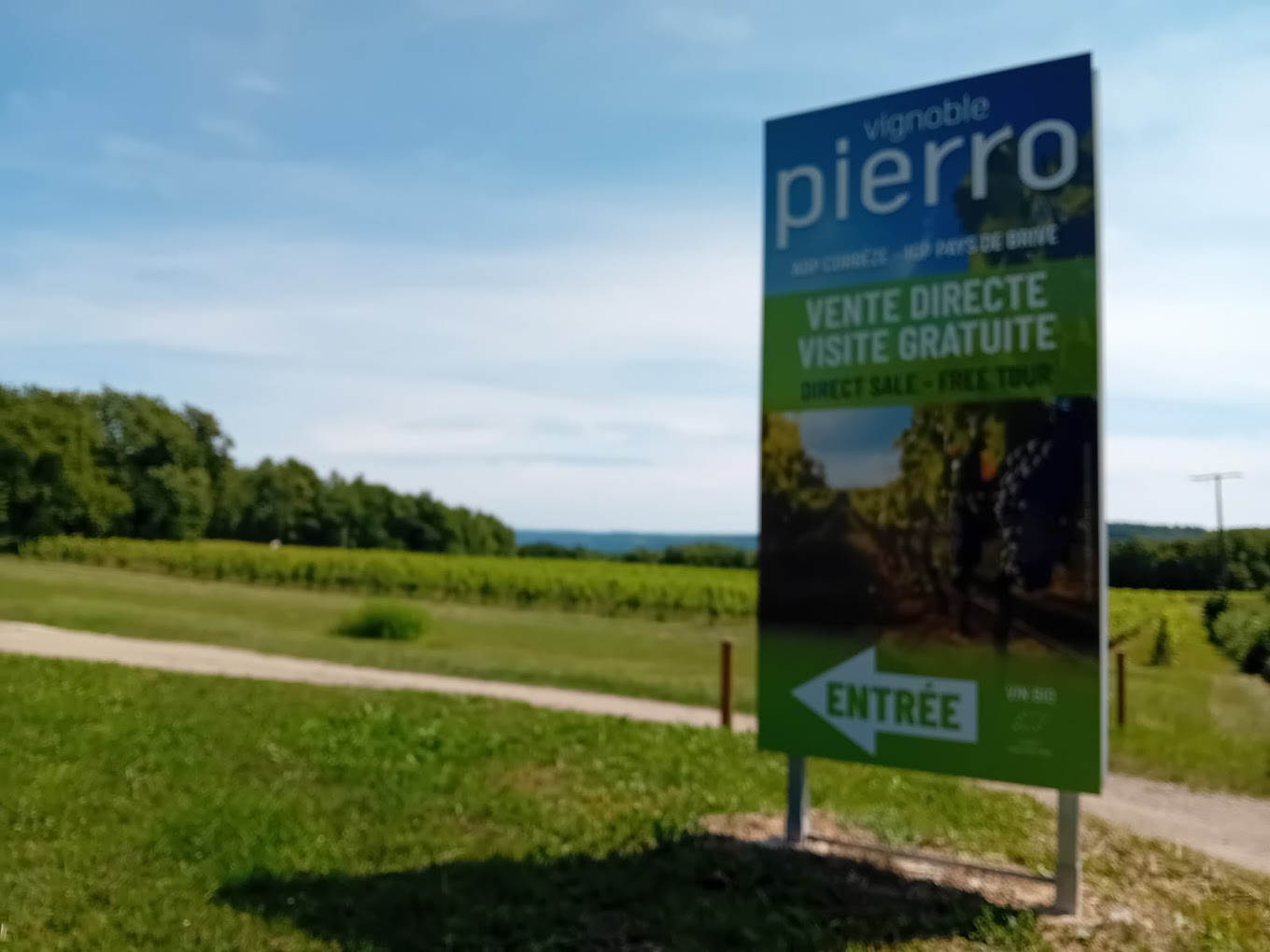Photo de VIGNOBLE PIERRO - Carine et Philippe Sagaz