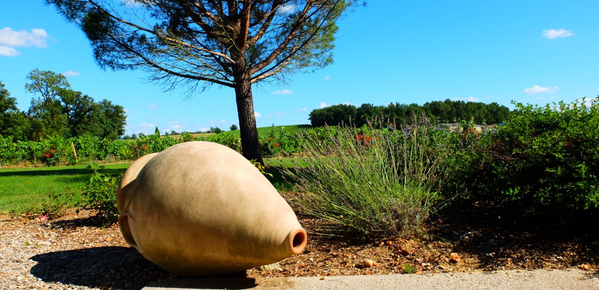 Photo de Vignobles Jérôme Bézios