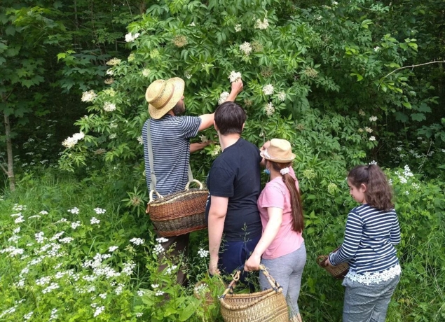 Photo de L'Herberie de la Saulx