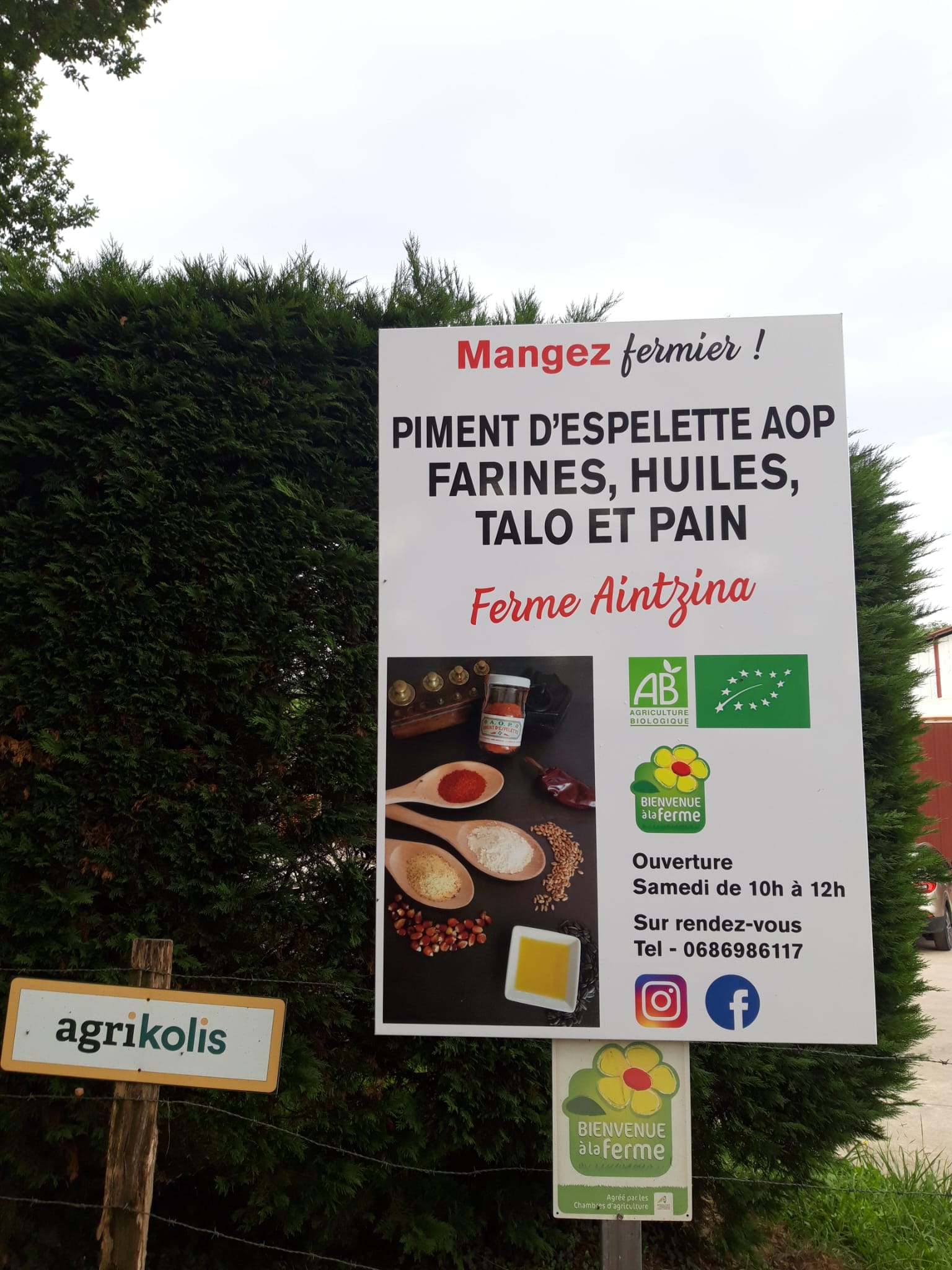 Ferme Aintzina 