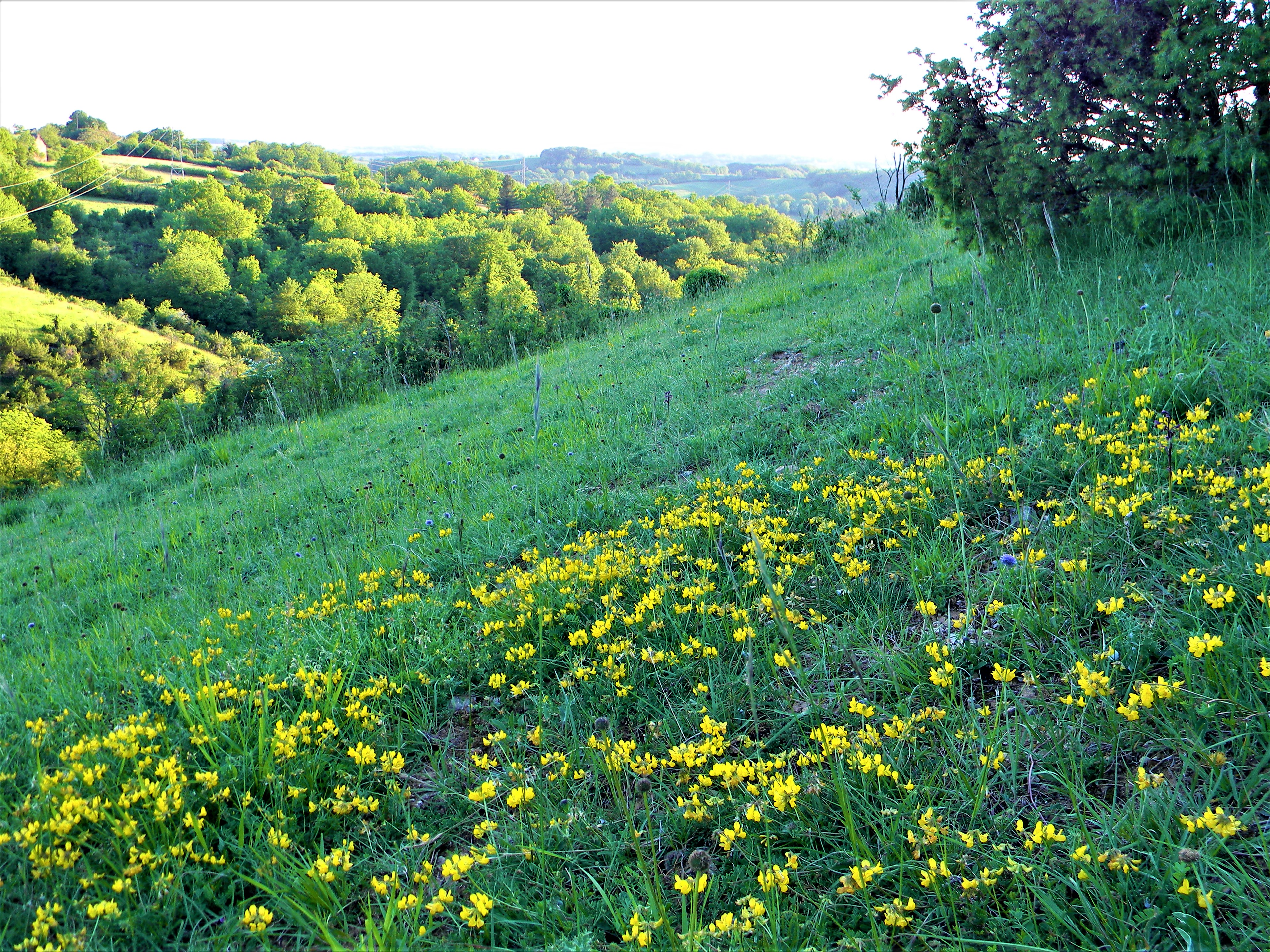 Photo de Les Jardins de Jammes 