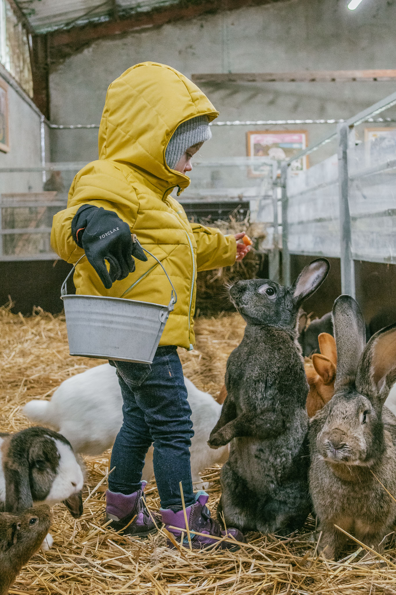 Photo de La ferme de la Marinette