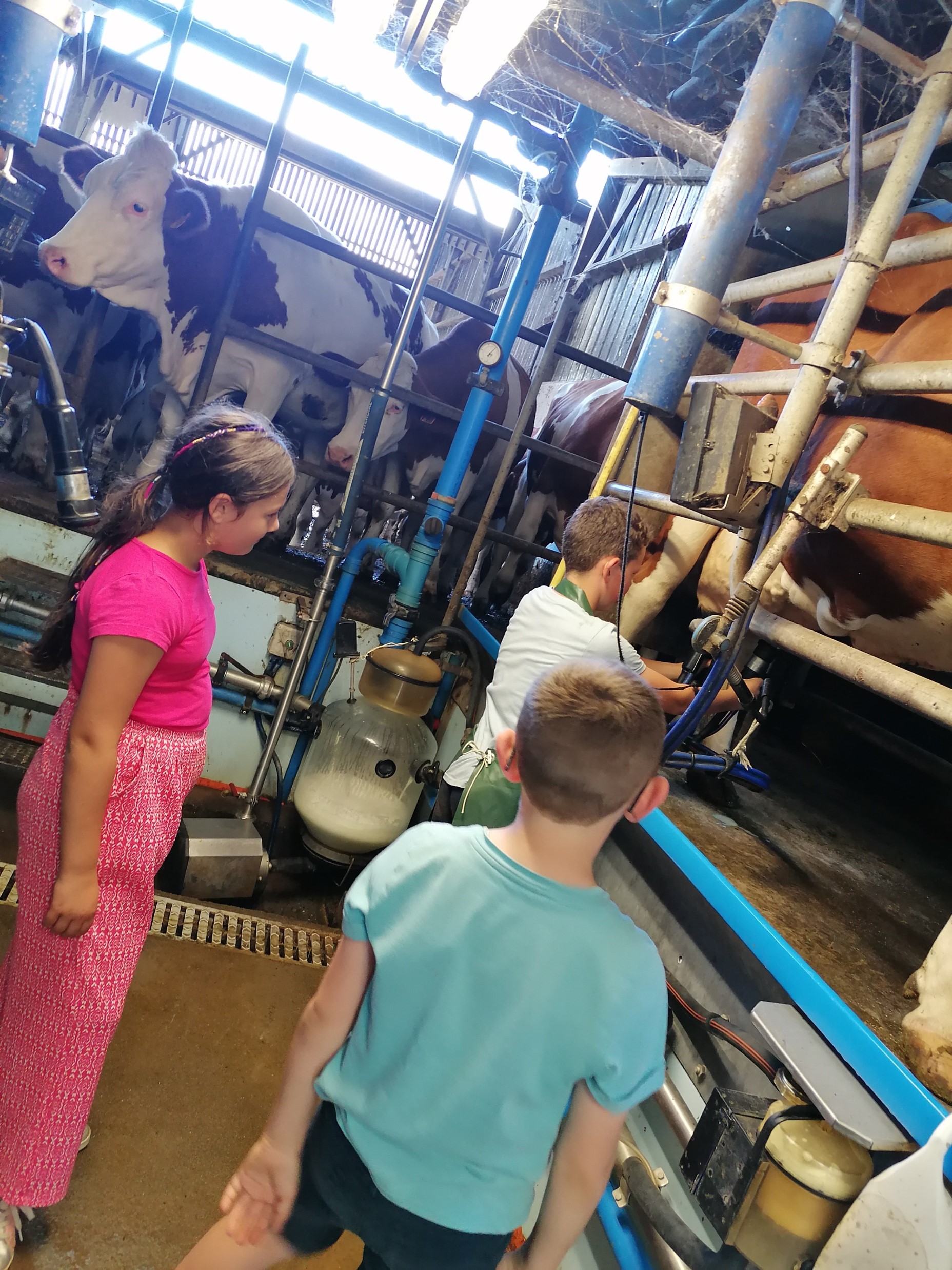 Photo de LA FERME LAIT GAILLARDISES