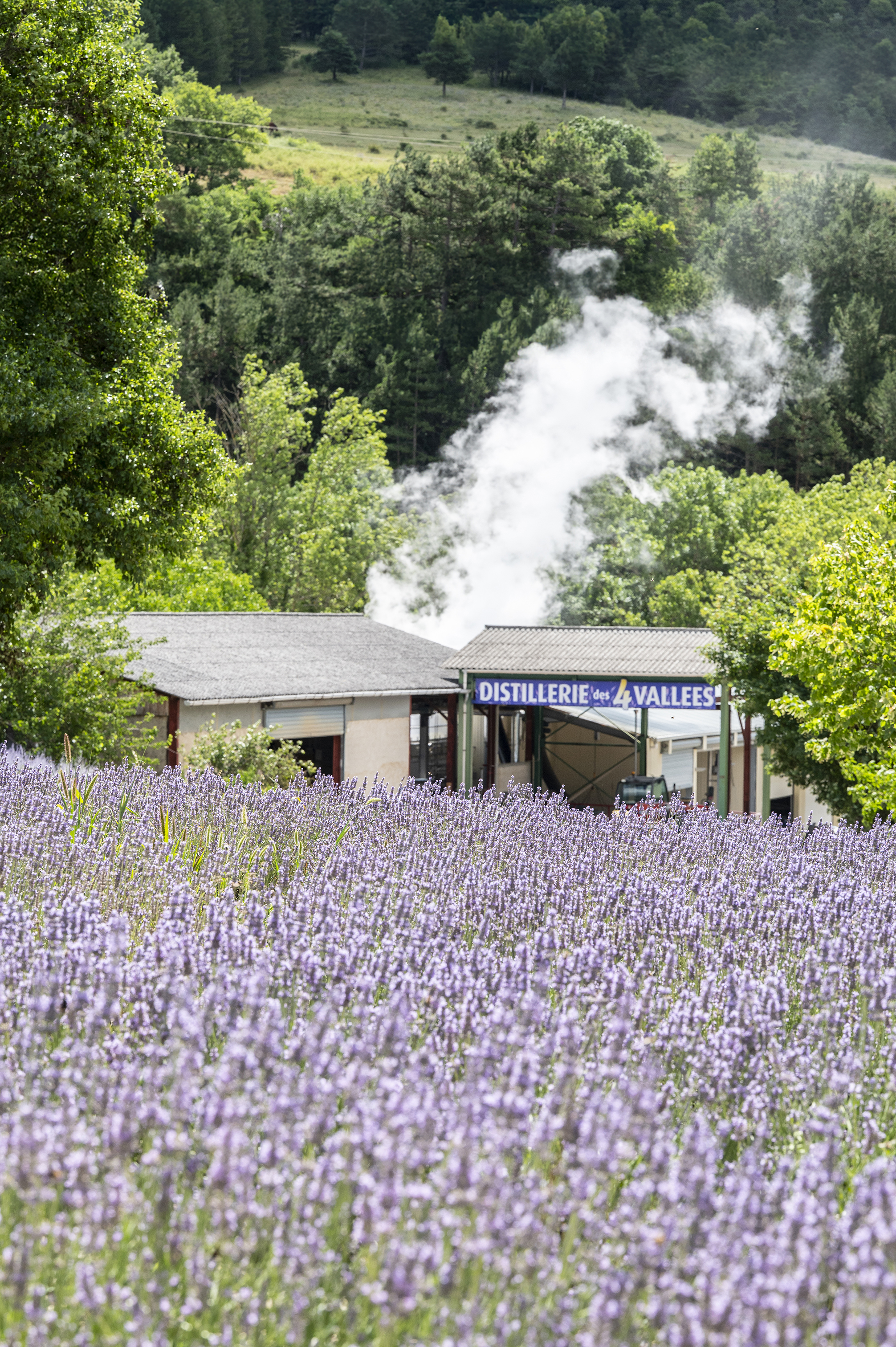Distillerie des 4 Vallées