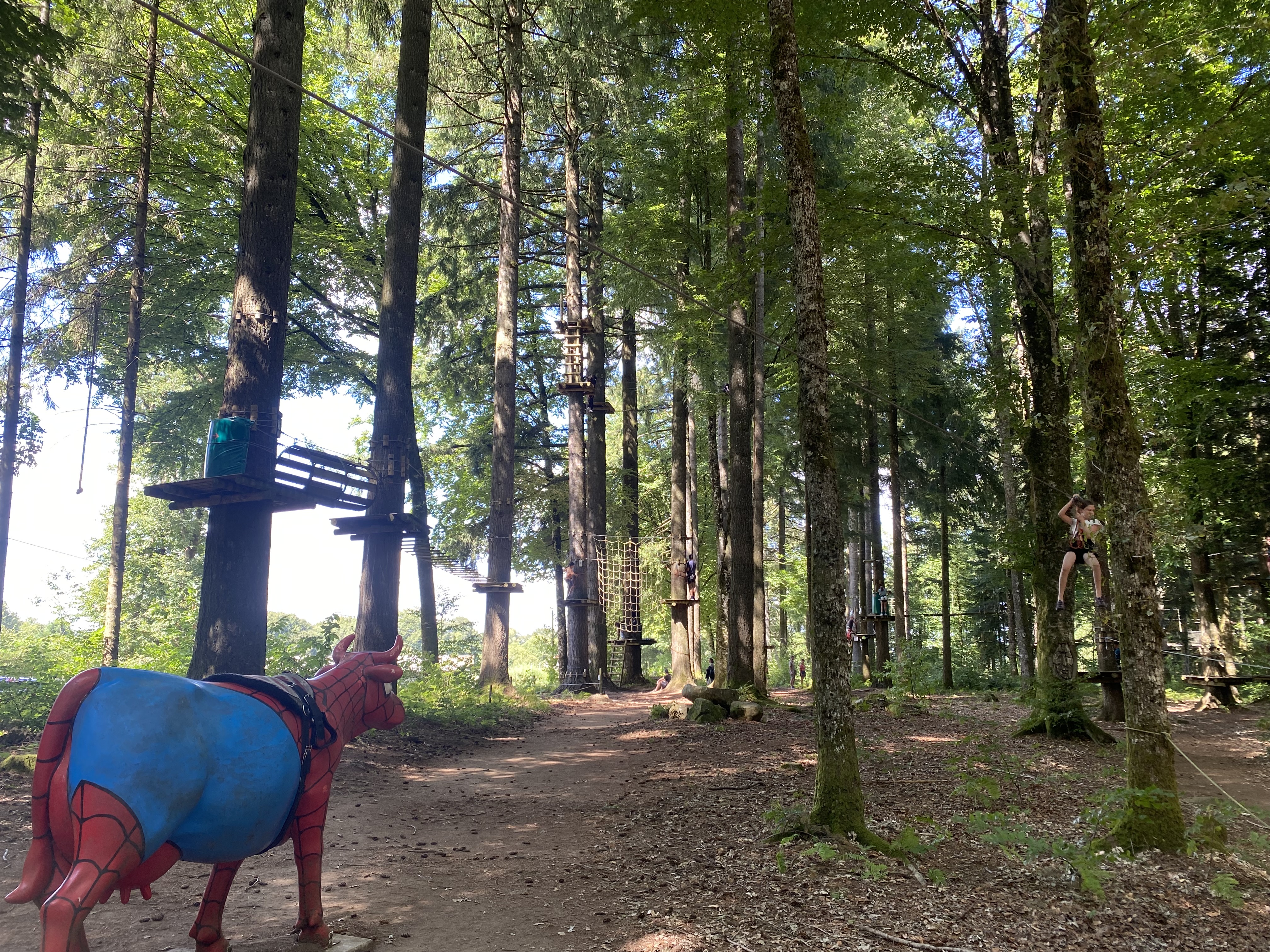 Photo de Ferme de la bitarelle 