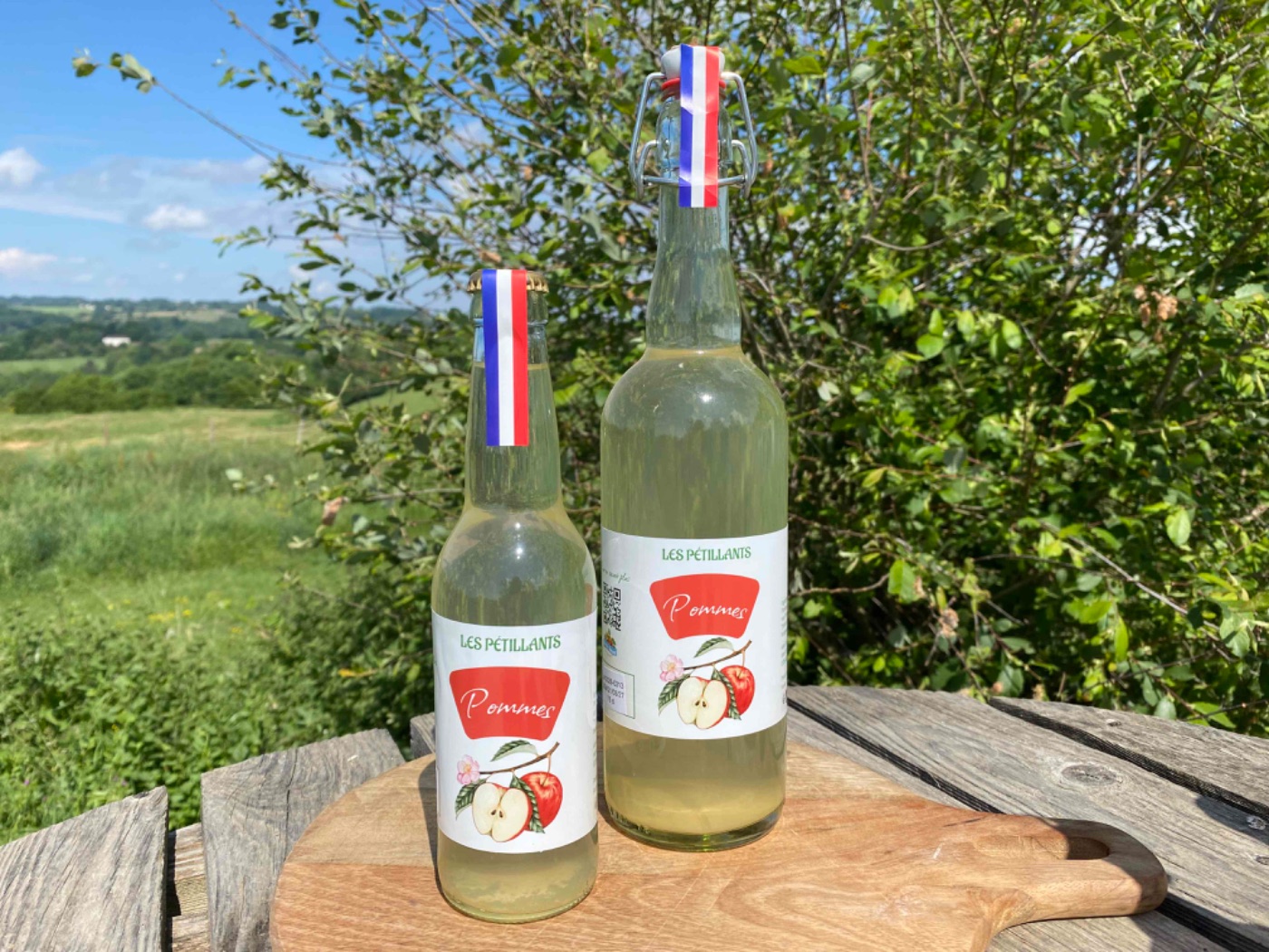 boisson pétillante aux pommes 33 cl par 12 bouteilles